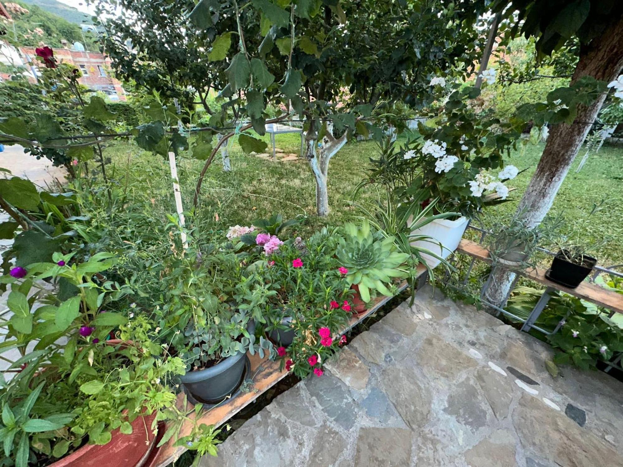 Gardenhouse Memlishte